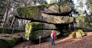 img 3604 wackelstein 6 1024