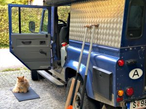 img 5587 katze wartet vor landrover camper 1024