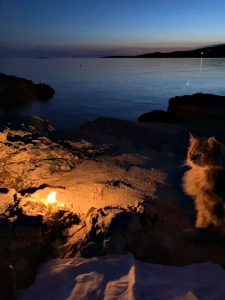 romantische katze am meer bei kerzenlicht 1024